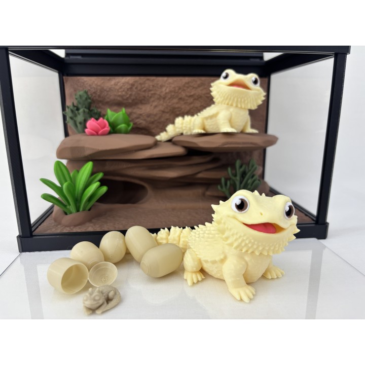 Agamy Tusia i Leo - zestaw terrarium premium