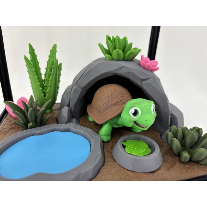 Żółw Stefan - zestaw terrarium