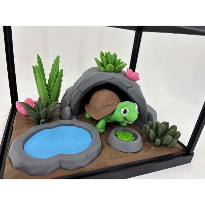 Żółw Stefan - zestaw terrarium