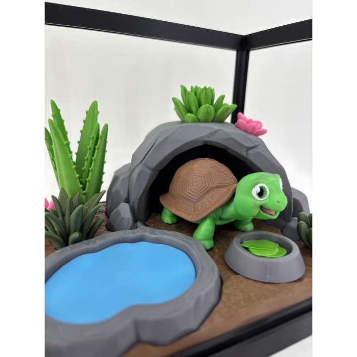 Żółw Stefan - zestaw terrarium