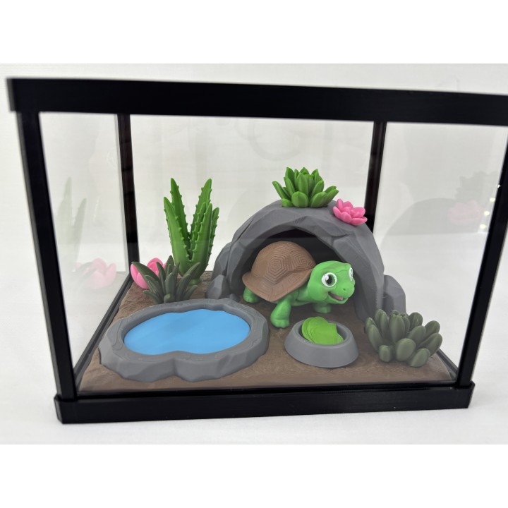 Żółw Stefan - zestaw terrarium