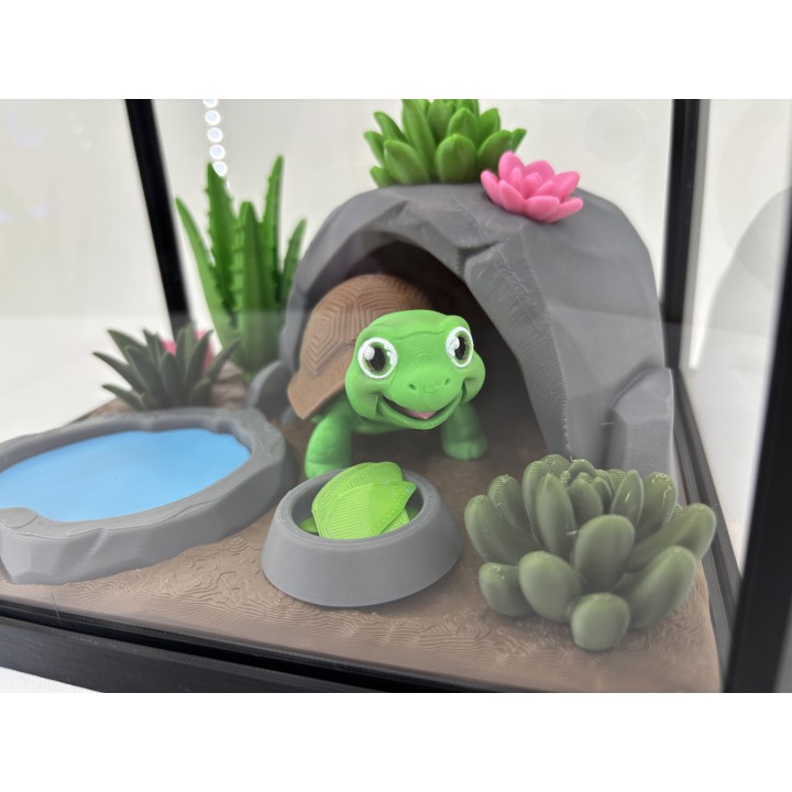 Żółw Stefan - zestaw terrarium