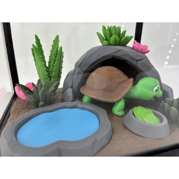Żółw Stefan - zestaw terrarium