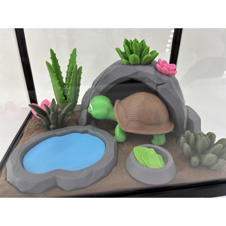 Żółw Stefan - zestaw terrarium