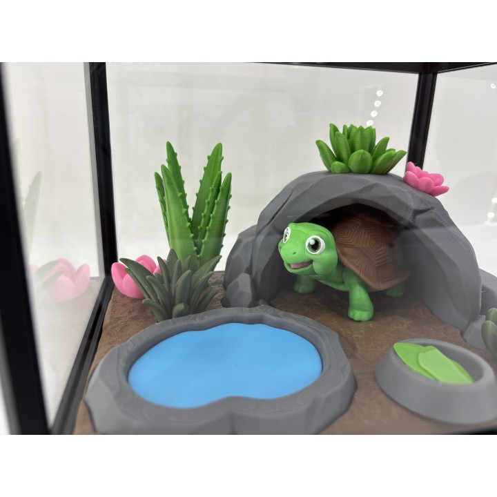 Żółw Stefan - zestaw terrarium