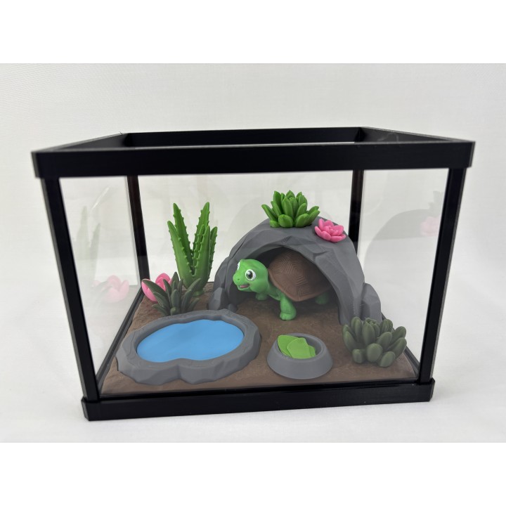 Żółw Stefan - zestaw terrarium
