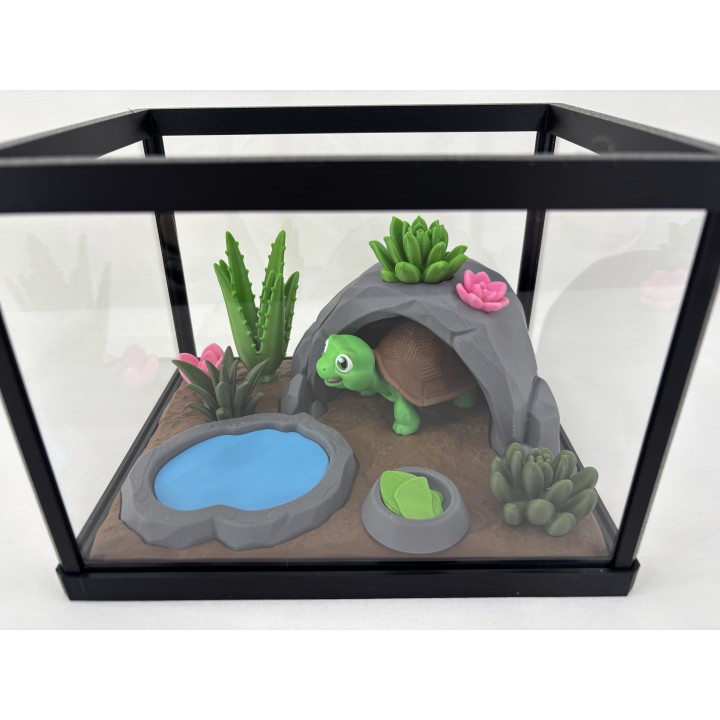 Żółw Stefan - zestaw terrarium