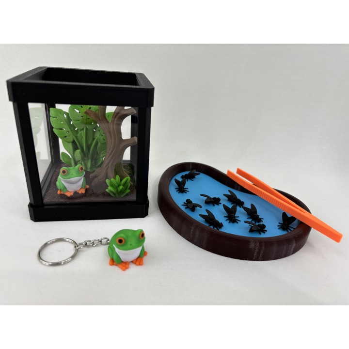 Żaba ARBORIA (rzekotka nadrzewna) - zestaw terrarium