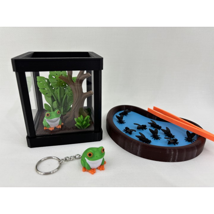 Żaba ARBORIA (rzekotka nadrzewna) - zestaw terrarium