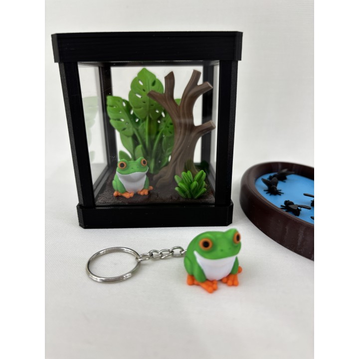 Żaba ARBORIA (rzekotka nadrzewna) - zestaw terrarium