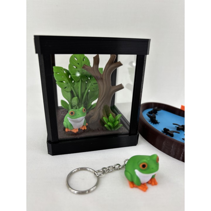 Żaba ARBORIA (rzekotka nadrzewna) - zestaw terrarium