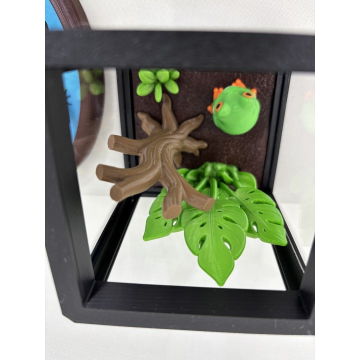 Żaba ARBORIA (rzekotka nadrzewna) - zestaw terrarium