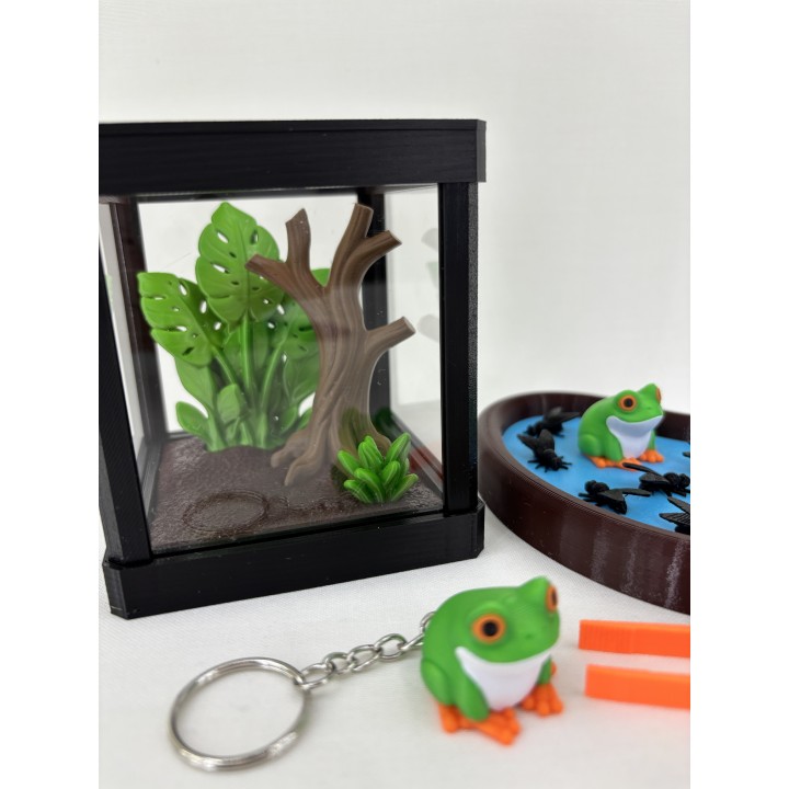 Żaba ARBORIA (rzekotka nadrzewna) - zestaw terrarium