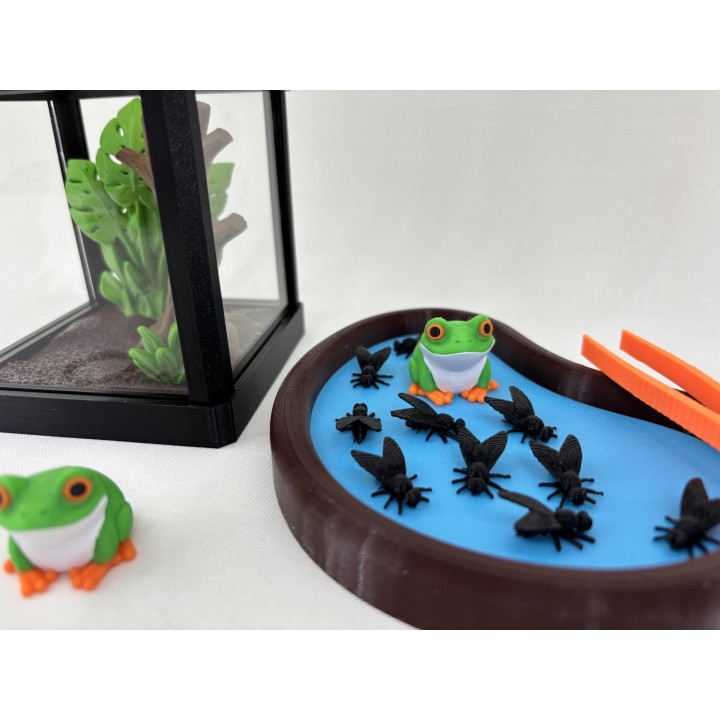 Żaba ARBORIA (rzekotka nadrzewna) - zestaw terrarium