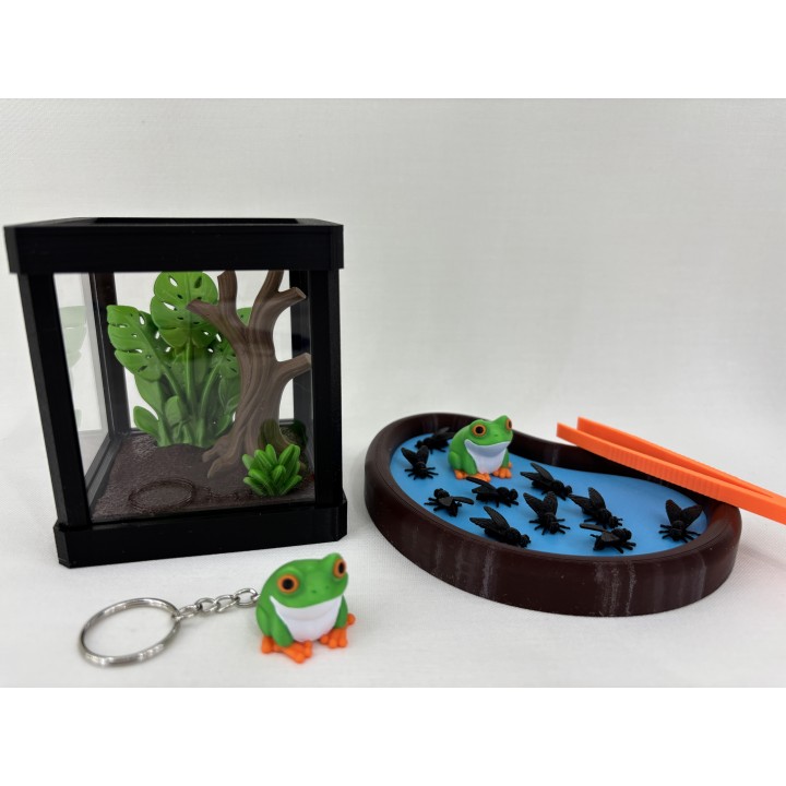 Żaba ARBORIA (rzekotka nadrzewna) - zestaw terrarium