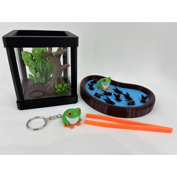 Żaba ARBORIA (rzekotka nadrzewna) - zestaw terrarium