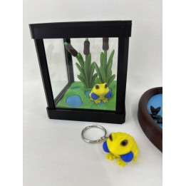 Żaba Radżan (żaba bycza indyjska) - zestaw terrarium