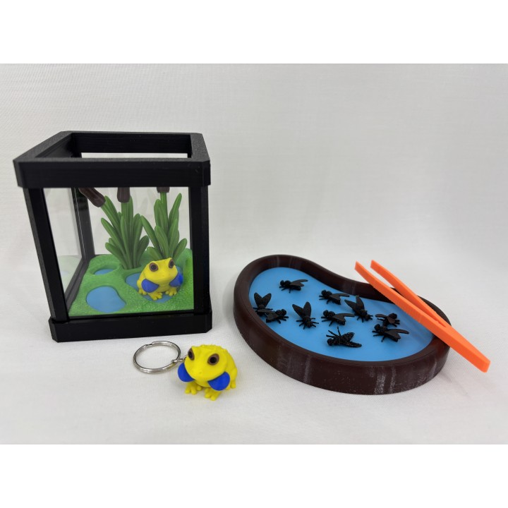Żaba Radżan (żaba bycza indyjska) - zestaw terrarium