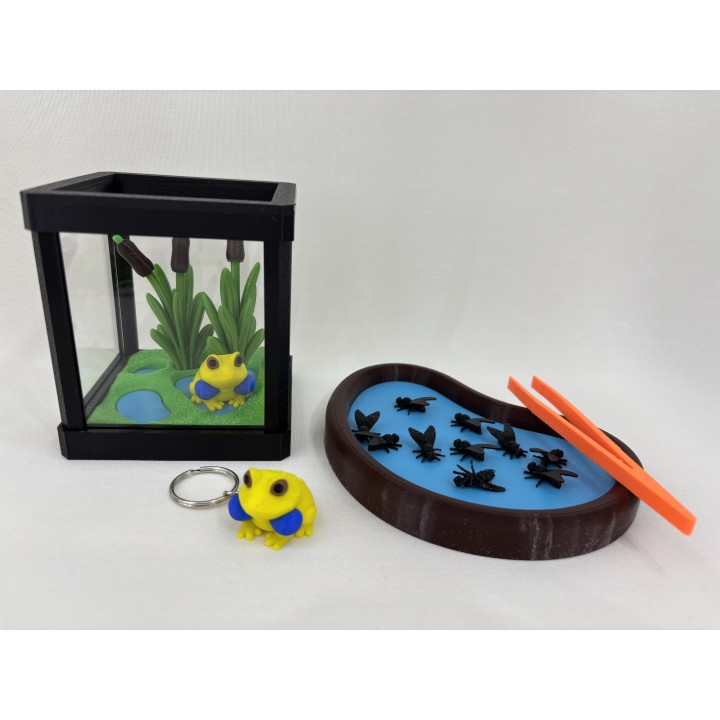 Żaba Radżan (żaba bycza indyjska) - zestaw terrarium