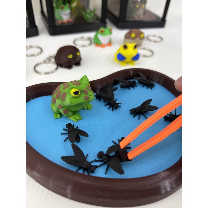 Żaba Pac-Man Rechot - zestaw terrarium