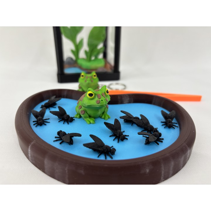 Żaba Pac-Man Rechot - zestaw terrarium