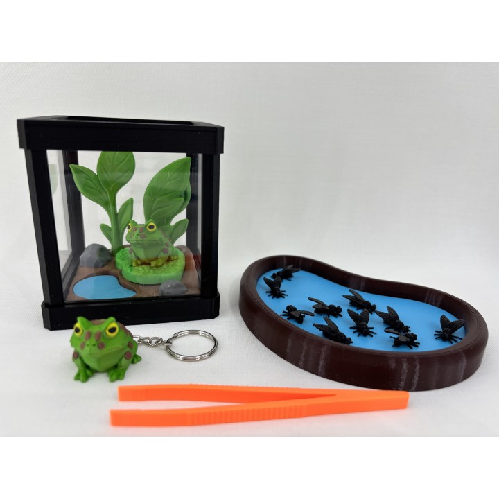 Żaba Pac-Man Rechot - zestaw terrarium