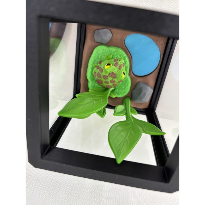 Żaba Pac-Man Rechot - zestaw terrarium