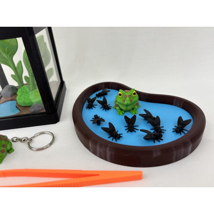 Żaba Pac-Man Rechot - zestaw terrarium