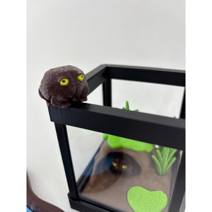 Żaba RAIN-BOG (żaba deszczowa czarna) - zestaw terrarium