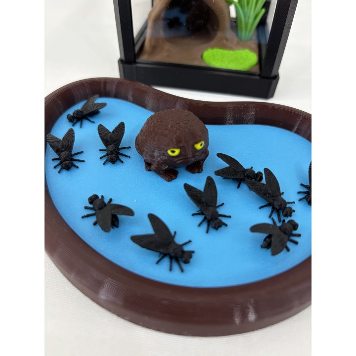 Żaba RAIN-BOG (żaba deszczowa czarna) - zestaw terrarium