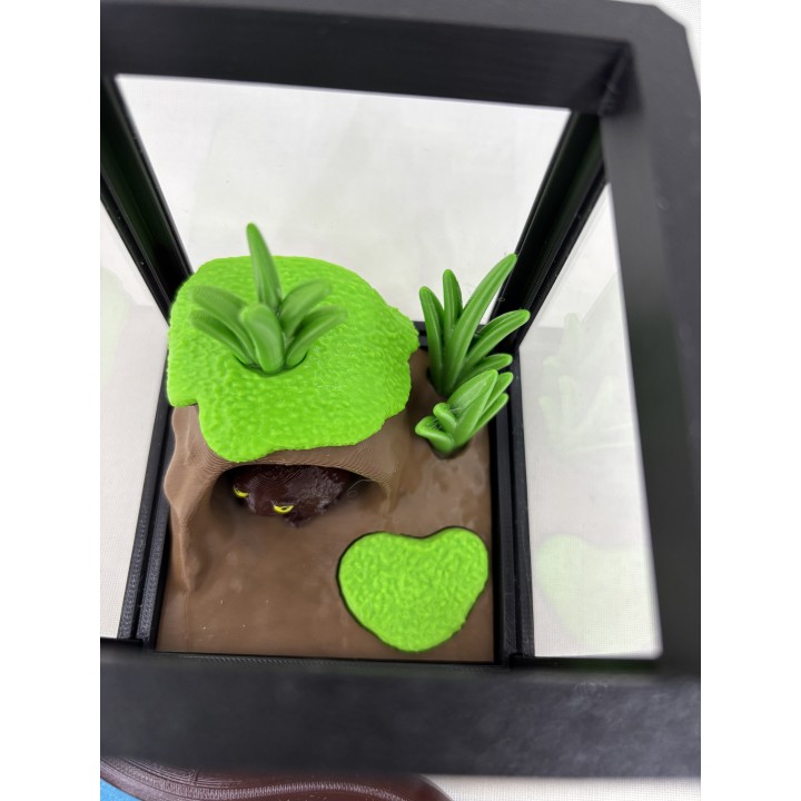Żaba RAIN-BOG (żaba deszczowa czarna) - zestaw terrarium