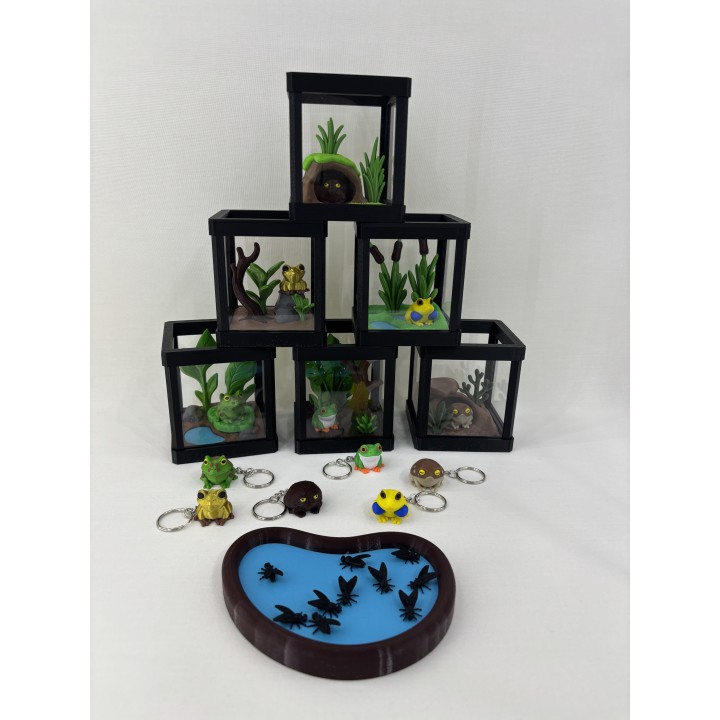 Żaba GOLDRINA (żaba złota jadowita) - zestaw terrarium