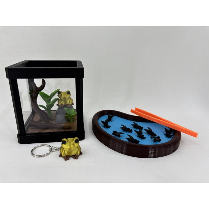 Żaba GOLDRINA (żaba złota jadowita) - zestaw terrarium