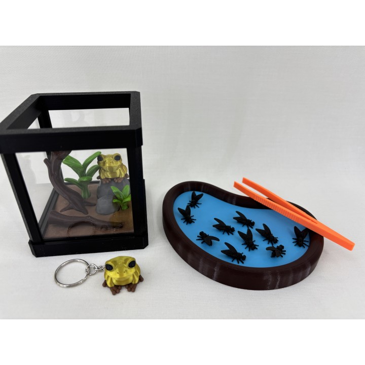 Żaba GOLDRINA (żaba złota jadowita) - zestaw terrarium
