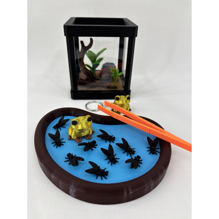 Żaba GOLDRINA (żaba złota jadowita) - zestaw terrarium