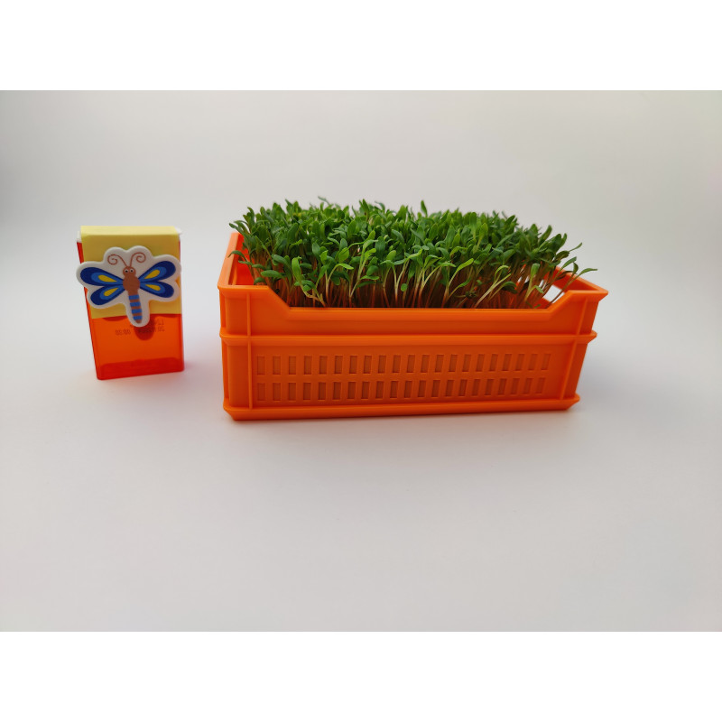 Mini SKRZYNECZKA POJEMNIK