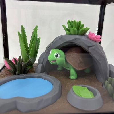 Terrarium z żółwiem, jeziorkiem i roślinkami
